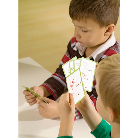 Material Didactico tienda Kasper Juego de Cartas de Animales